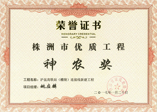 2015-16年度株洲市优（神农奖）项目经理证书（沪昆高铁站连接线姚应麟）
